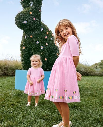 Baby Embroidered Tulle Skater Dress in Springtime Bunnies on Pink - main