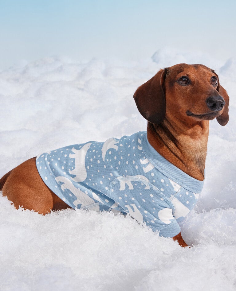 Holiday Snowy Polar Bear Matching Family Pajamas in  - main