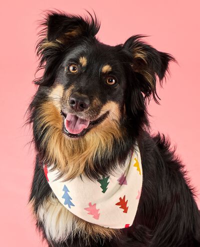 Holiday Flannel Dog Bandana in Festive Forest on Ecru - main