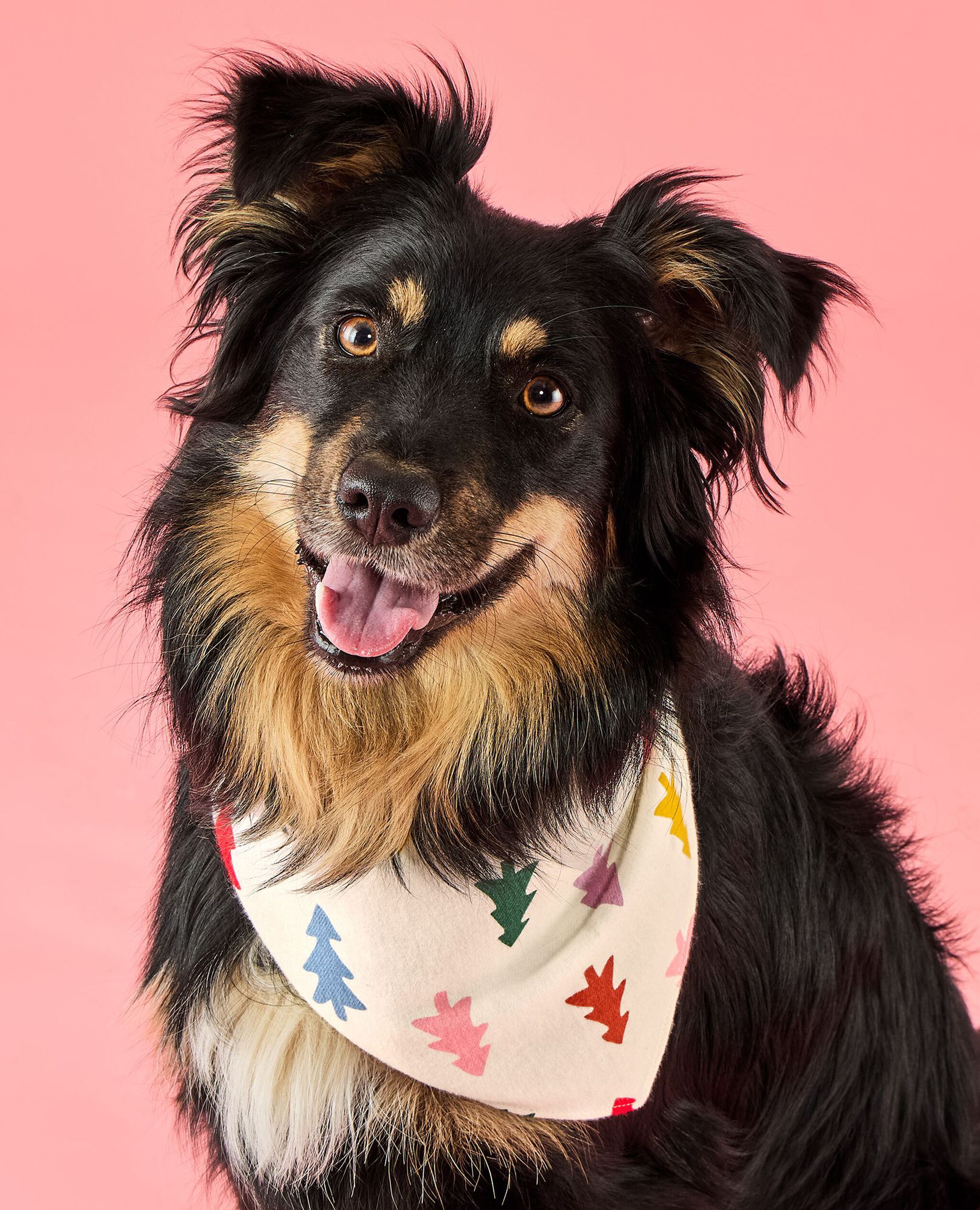 Holiday Flannel Dog Bandana in Festive Forest on Ecru - main