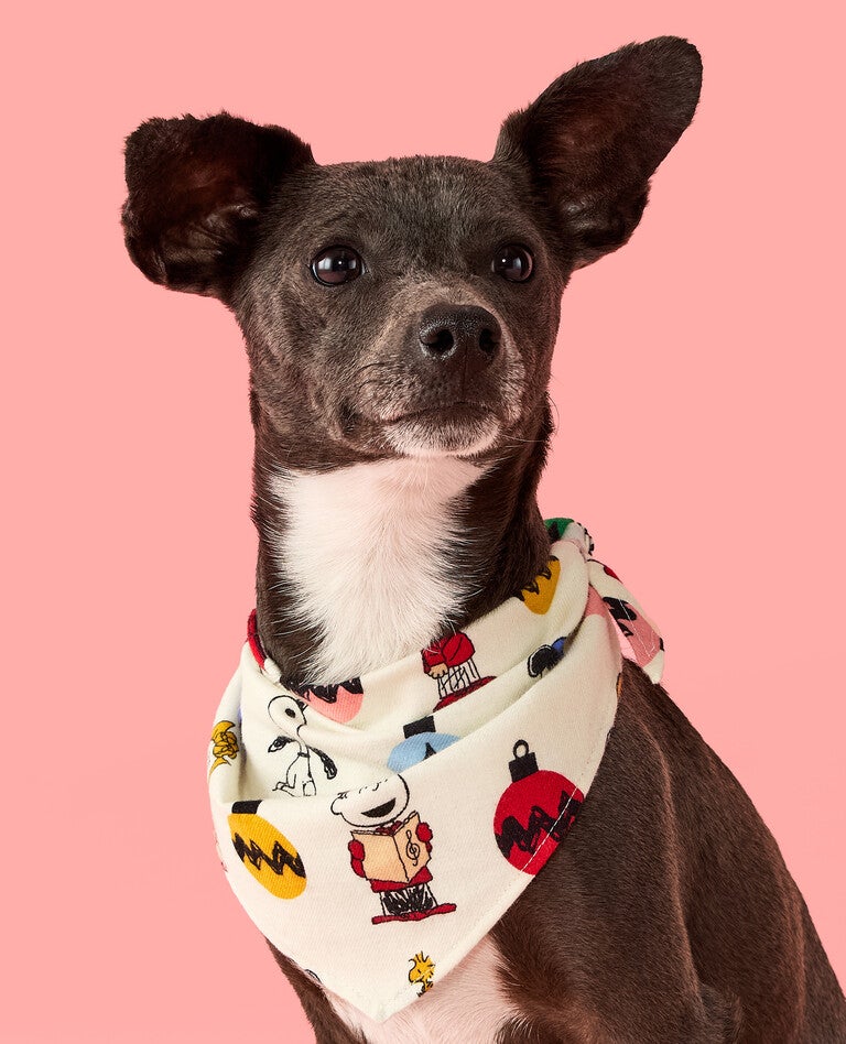 Peanuts Holiday Matching Family Pajamas in  - main