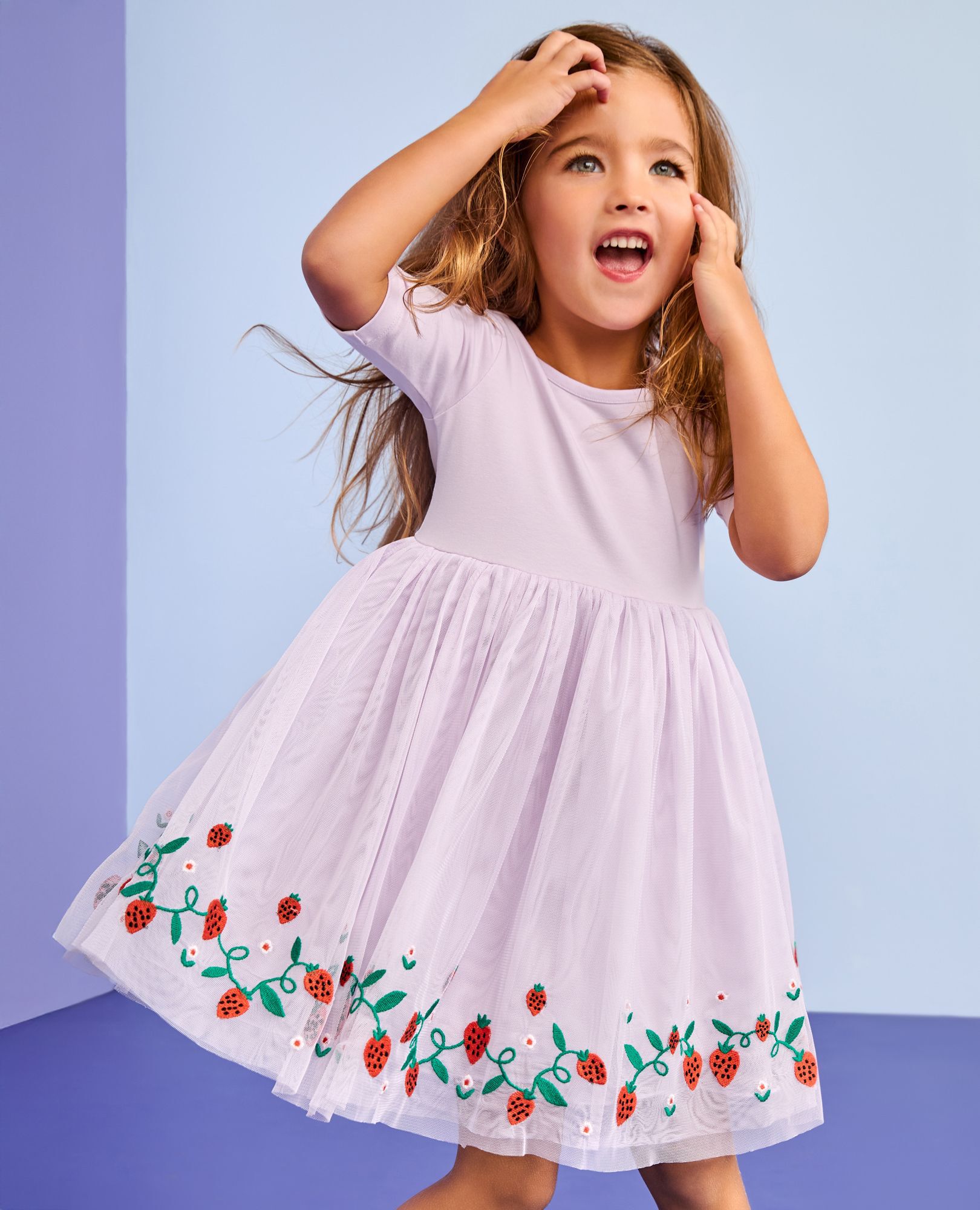 Tulle Embroidered Skater Dress in Strawberries on Orchid Hush - main
