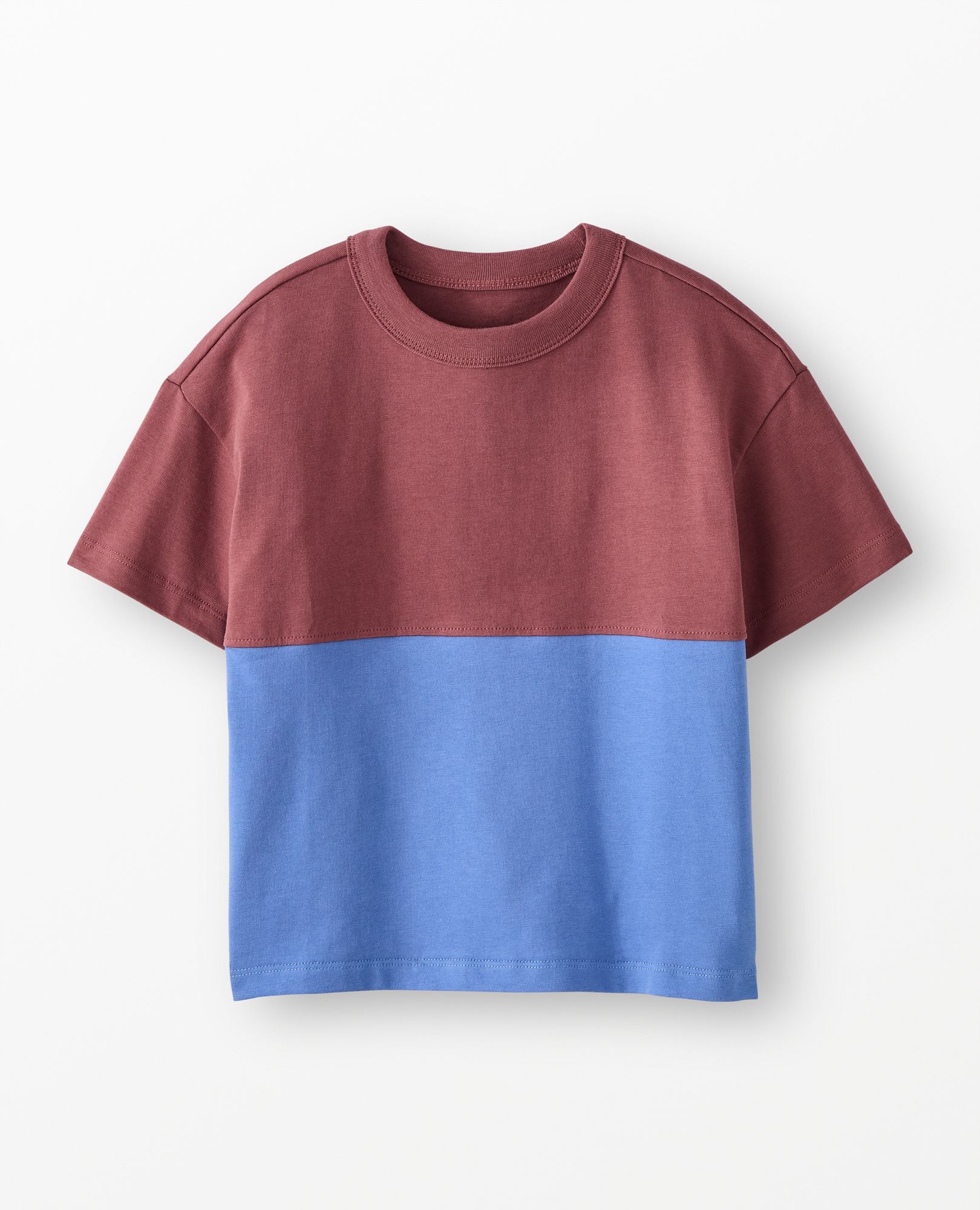 Oversized Colorblock T-Shirt in Nettle Brown/Horizon Blue - main