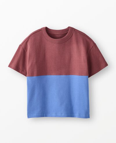 Oversized Colorblock T-Shirt in Nettle Brown/Horizon Blue - main