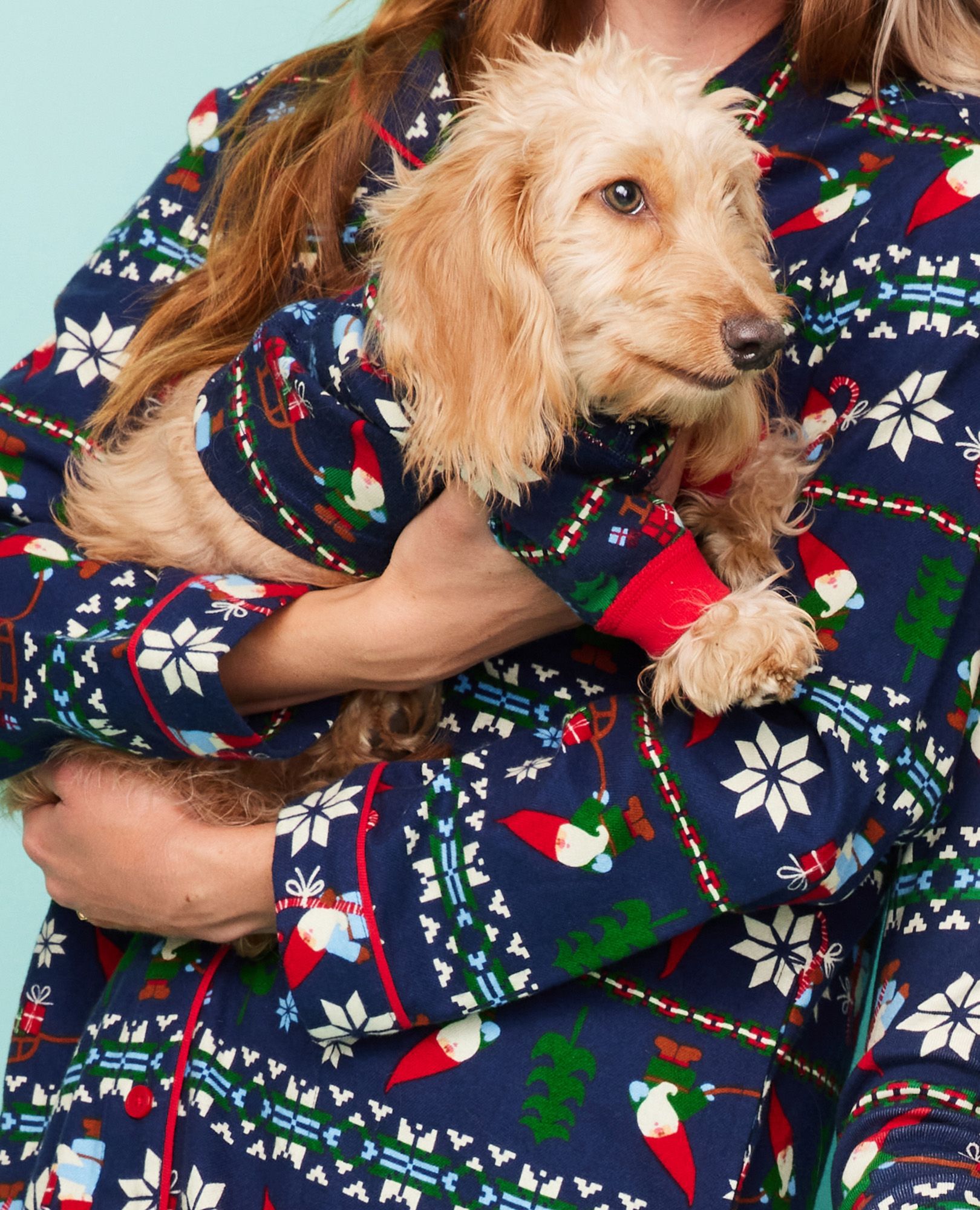Puppy pajamas for hotsell adults