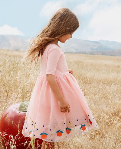 Embroidered Tulle Dress in Red Apples on Pink - main