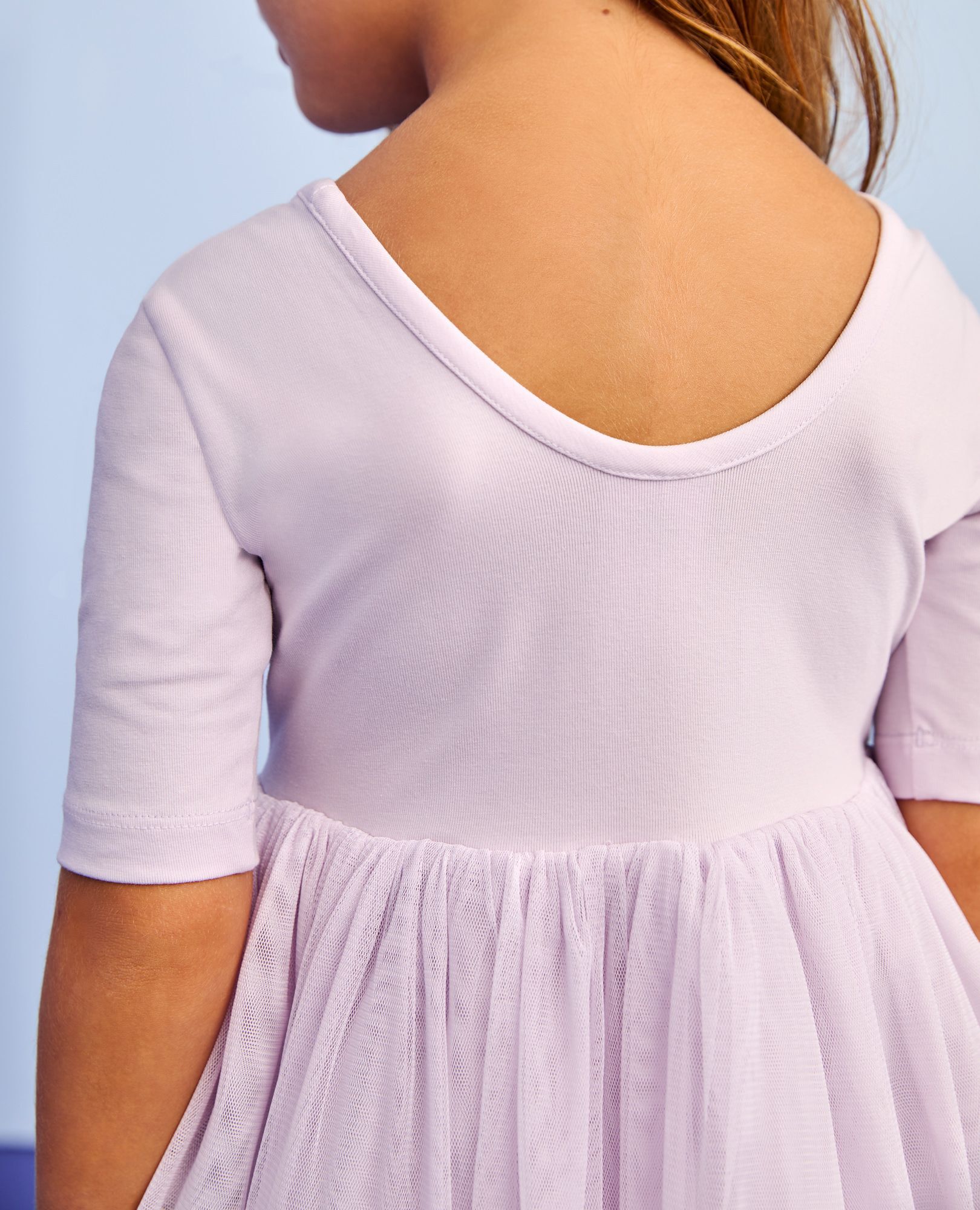 Tulle Embroidered Skater Dress in Strawberries on Orchid Hush - main