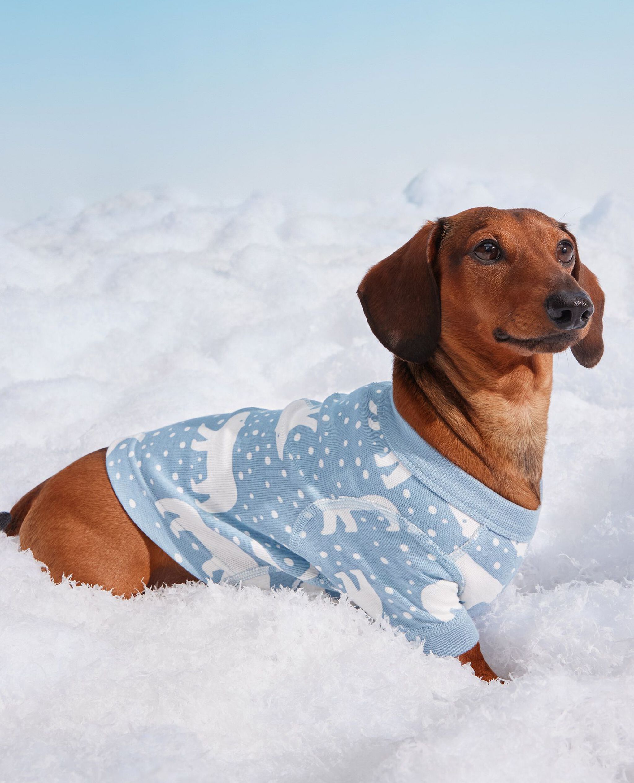 Holiday Dog Pajamas in Snowy Polar Bear on North Air - main