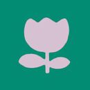 Women's Wide Leg Pajama Set in Tossed Tulips on Green - swatch