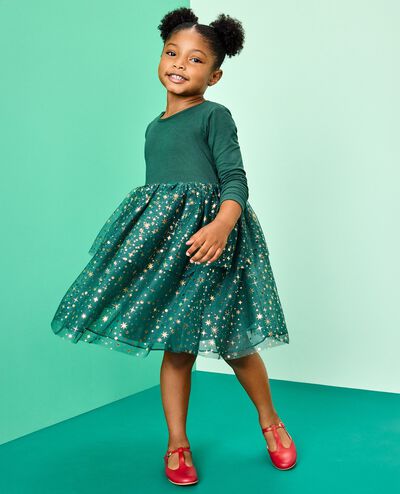 Long Sleeve Tulle Shimmer Dress in Malachite - main