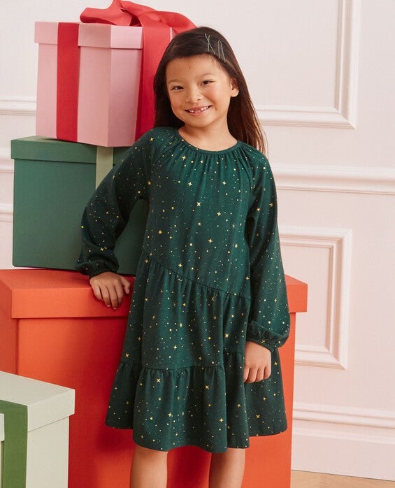Girls’ Ponderosa Green Long Sleeve Sparkle Tiered Dress – Size Toddler 2 by Hanna Andersson