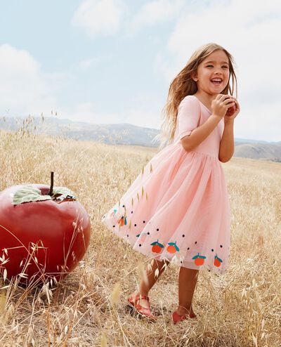 Embroidered Tulle Dress in Red Apples on Pink - main