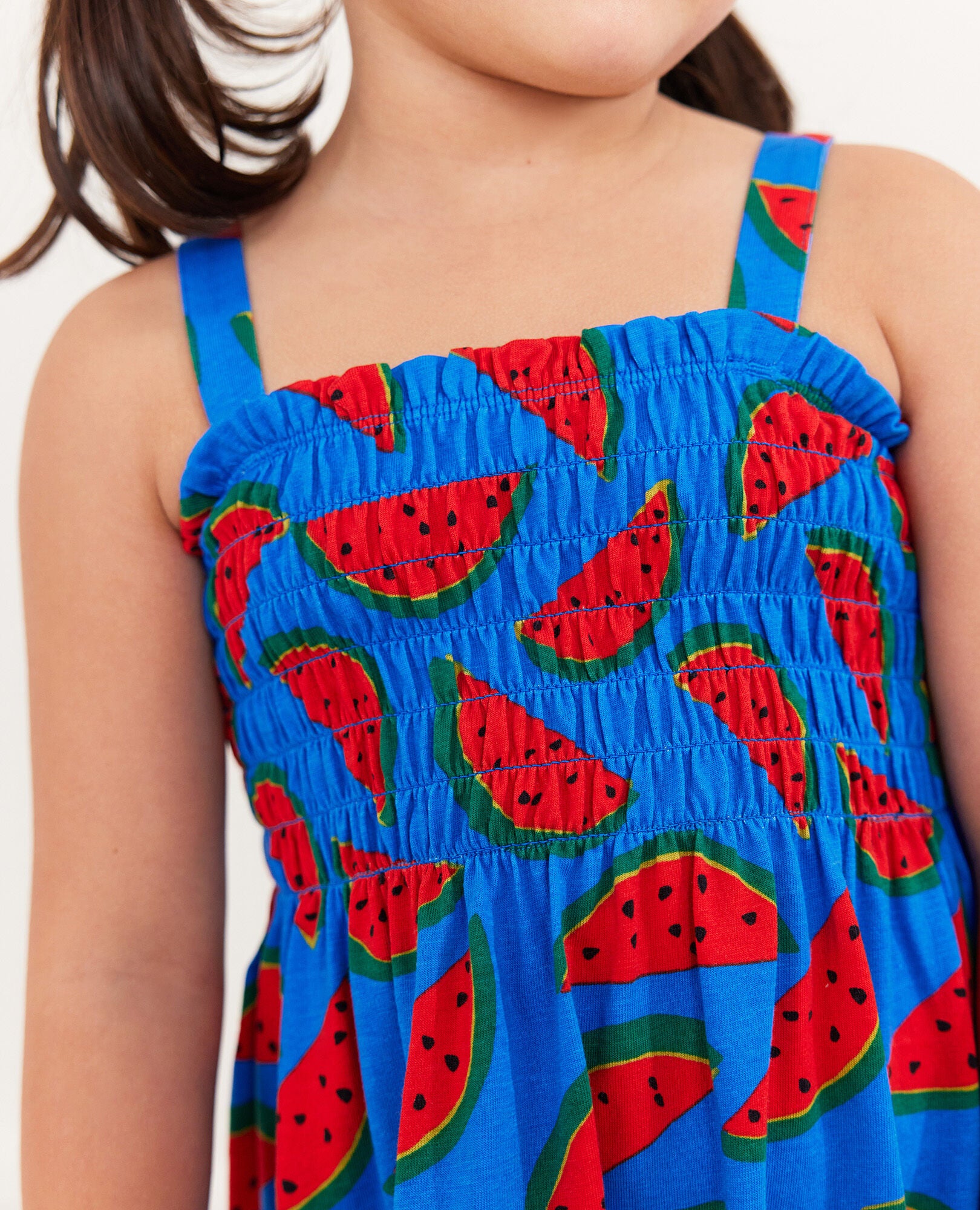 Sesame street top smocked dress