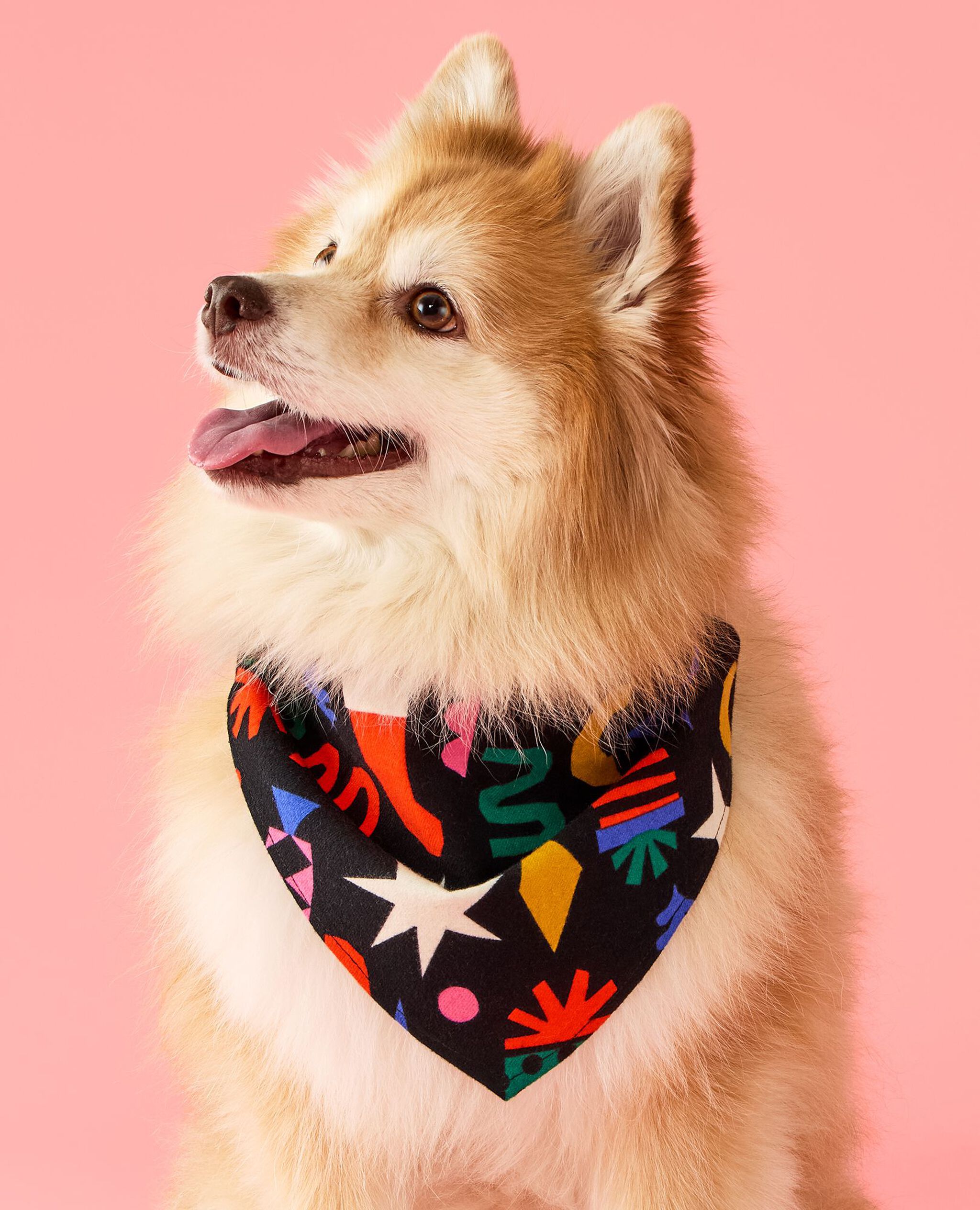 Holiday Flannel Dog Bandana in Modern Festive - main