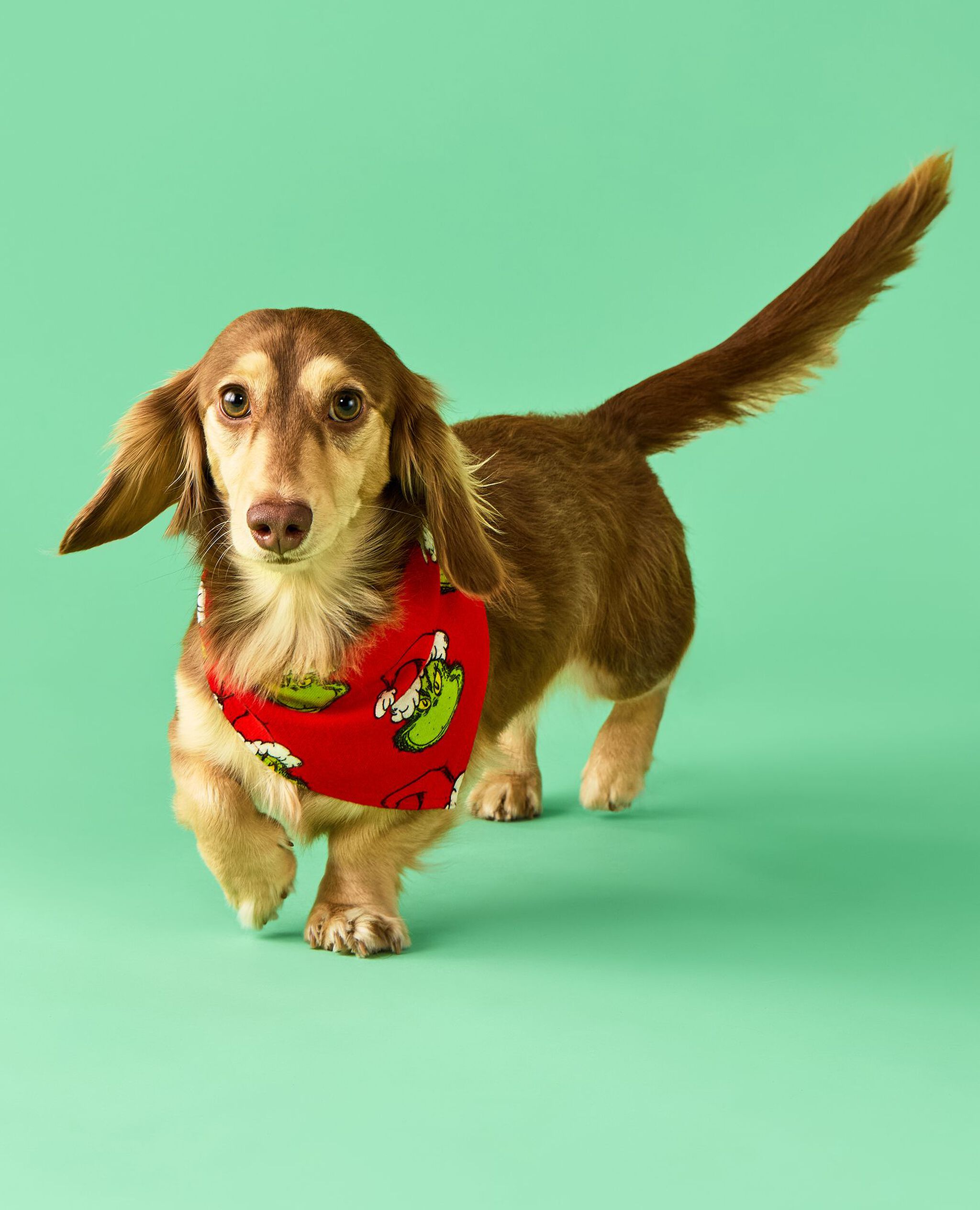 Dr. Seuss Grinch Flannel Dog Bandana in Merry Grinchmas on Red - main