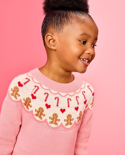 Holiday Fair Isle Sweater Dress in Gingerbread Fair Isle - main