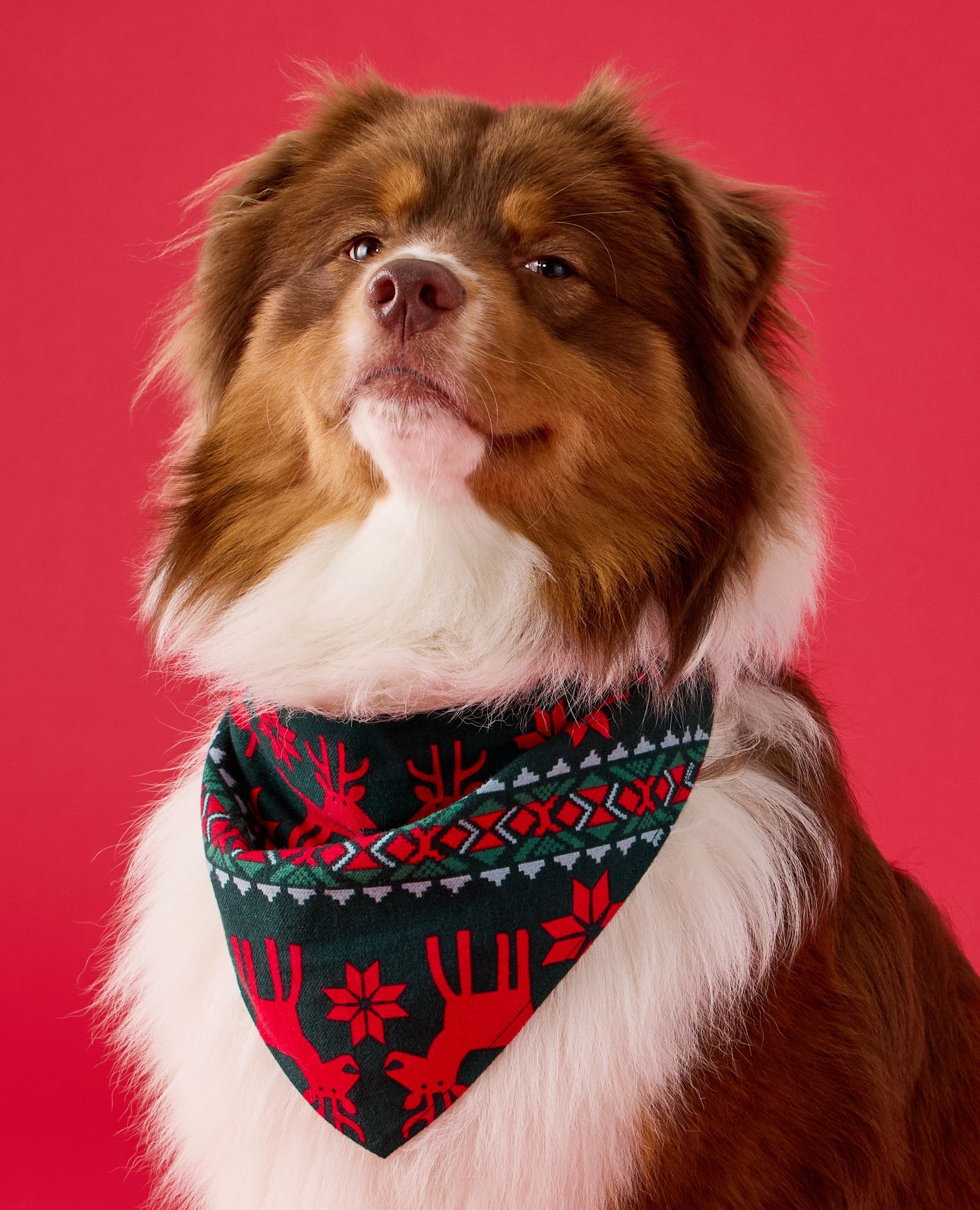 Flannel Dog Bandana in Dear Deer on Green - main