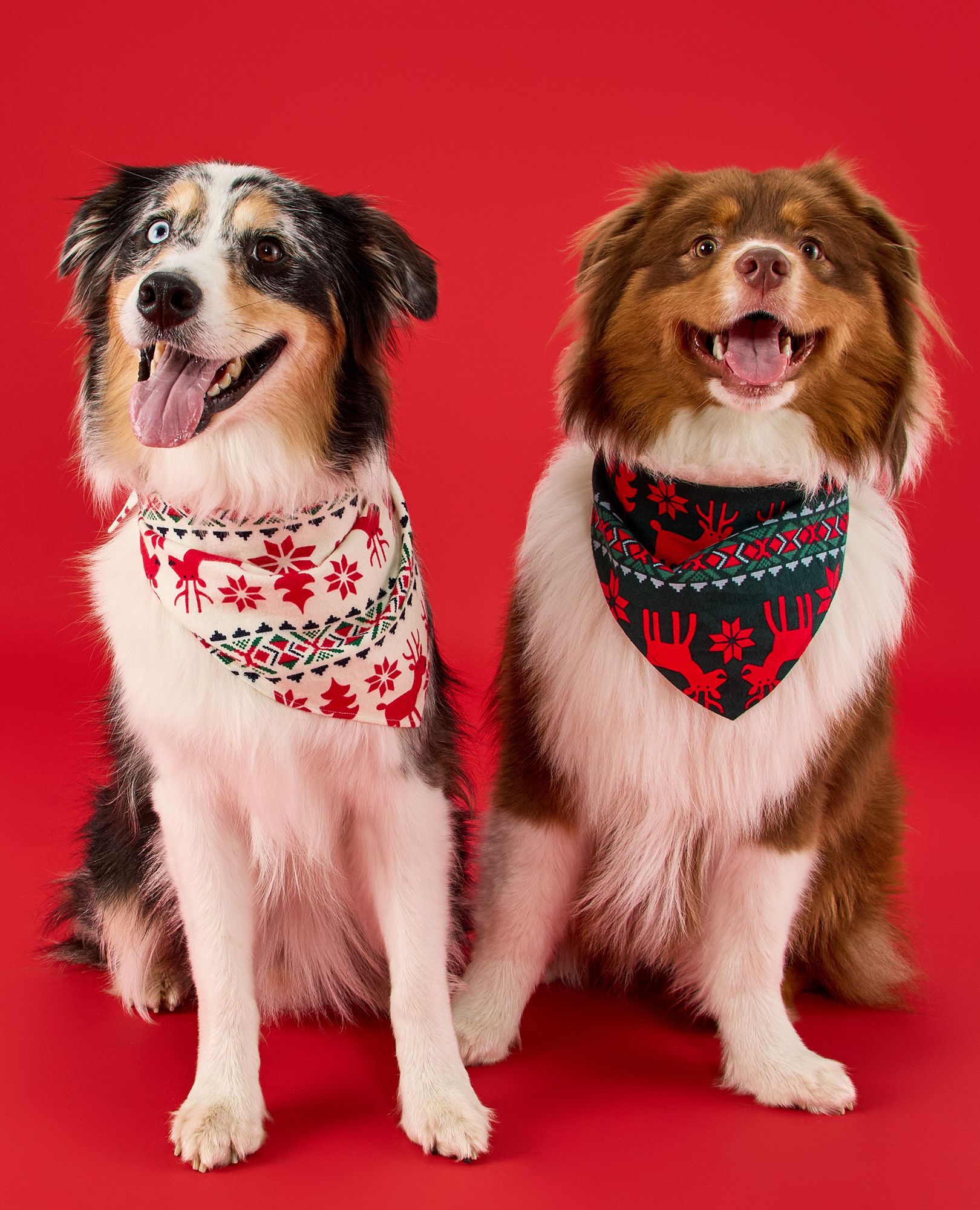 Flannel Dog Bandana in Dear Deer on Green - main