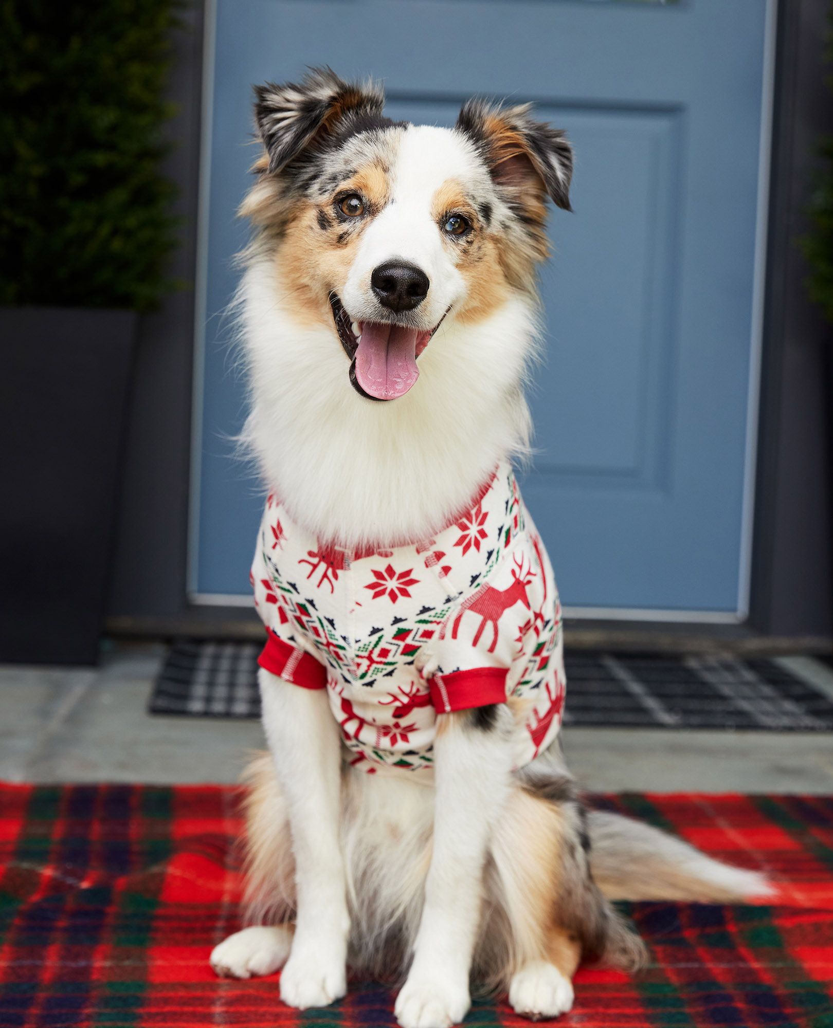Holiday Dog Pajamas
