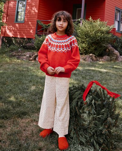 Holiday Fair Isle Sweater in Homey Fairisle on Red - main