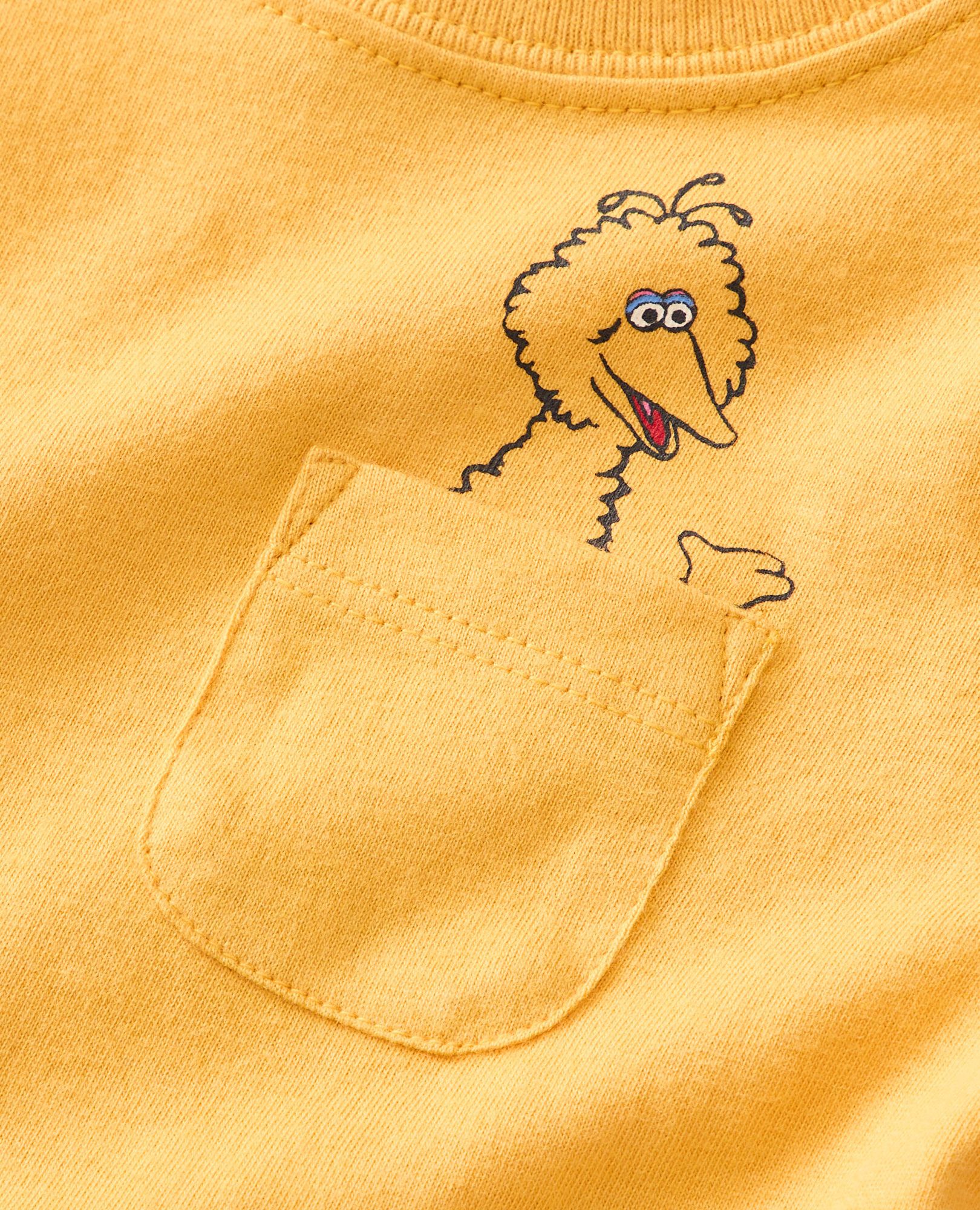 Big bird t shop shirt