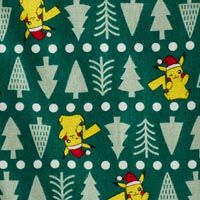 Pokemon Holiday Matching Family Pajamas Hanna Andersson