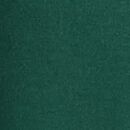 Adult HannaSoft™ Henley T-Shirt in Malachite - swatch