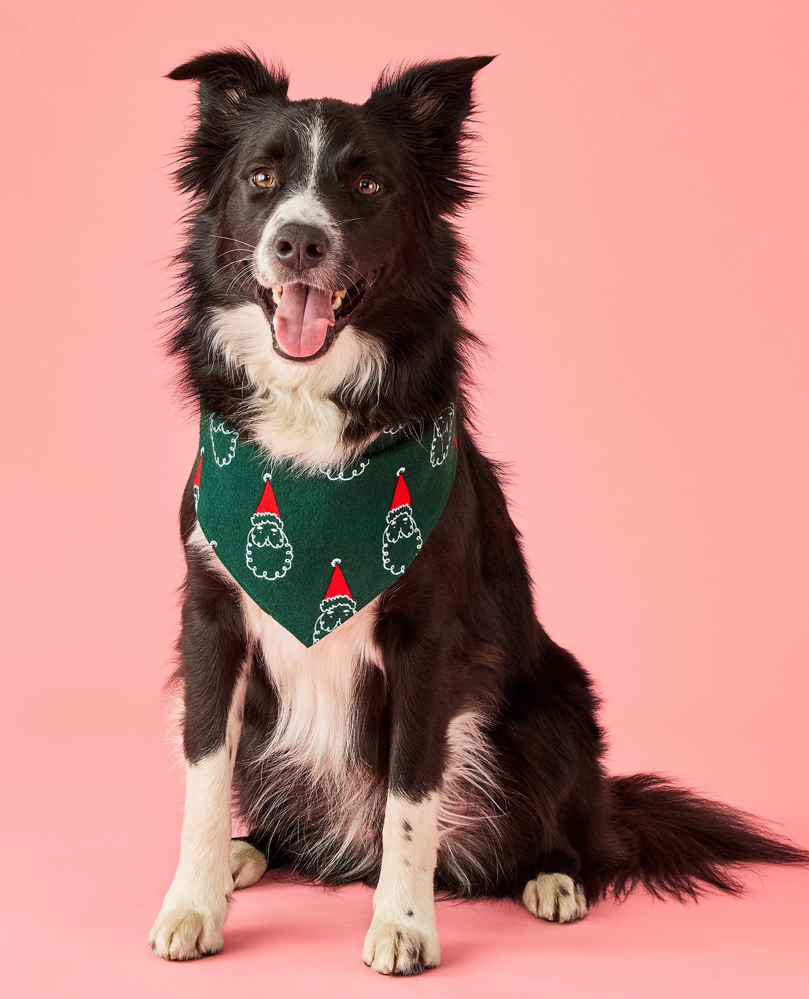Holiday Flannel Dog Bandana in Santa on Malachite - main