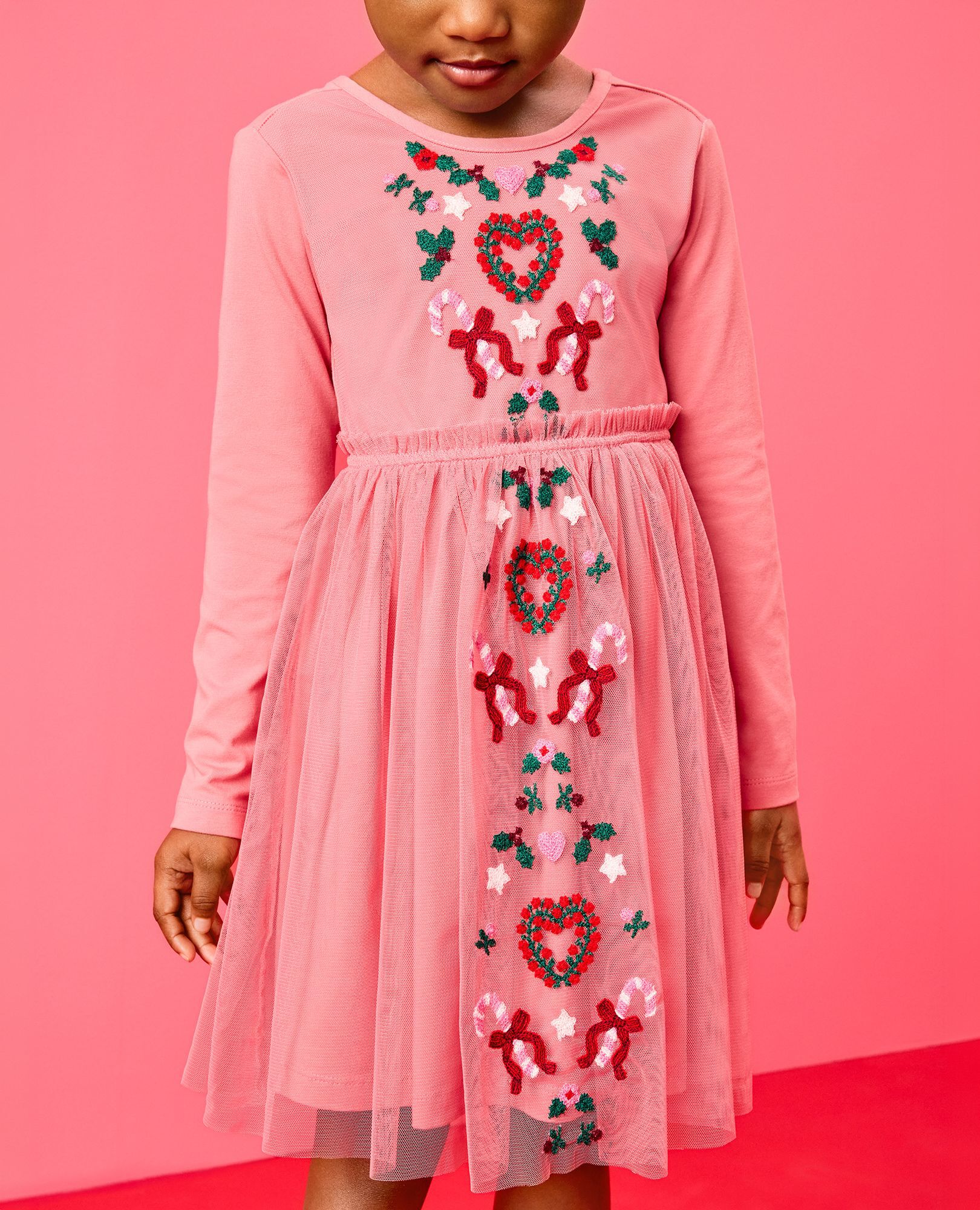 Long Sleeve Tulle Embroidered Dress in Holiday Embroidery - main