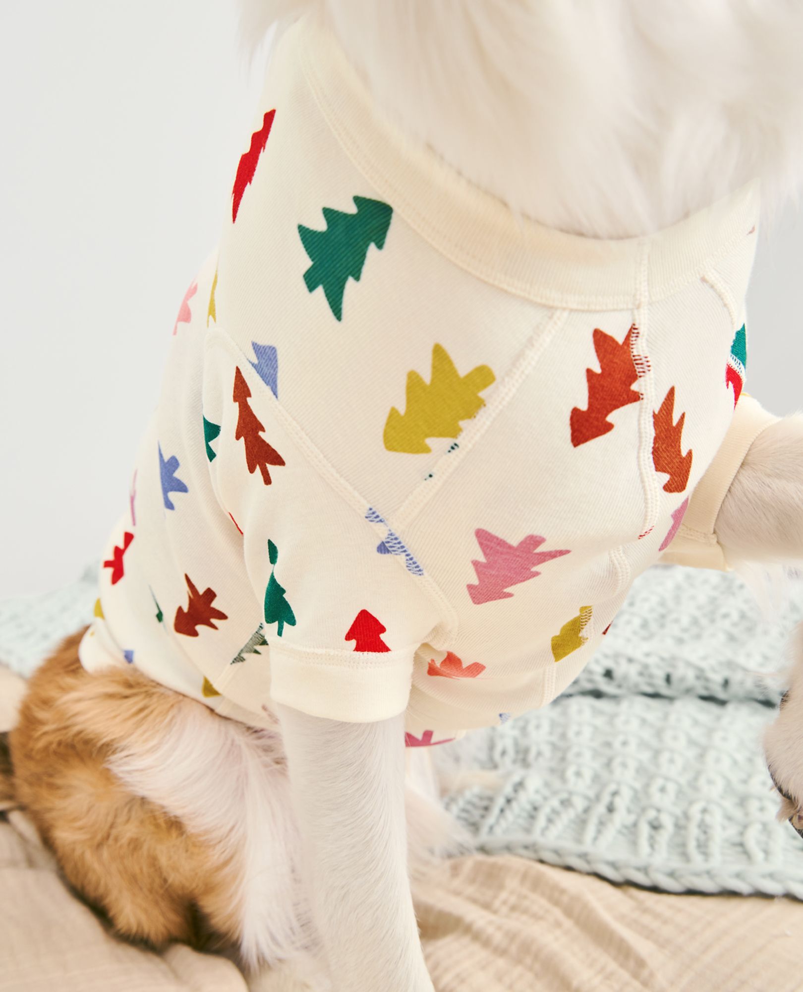 Holiday Dog Pajamas in Festive Forest on Ecru - main