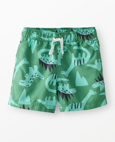 Swim Trunks in Blue Dinos On Green - main