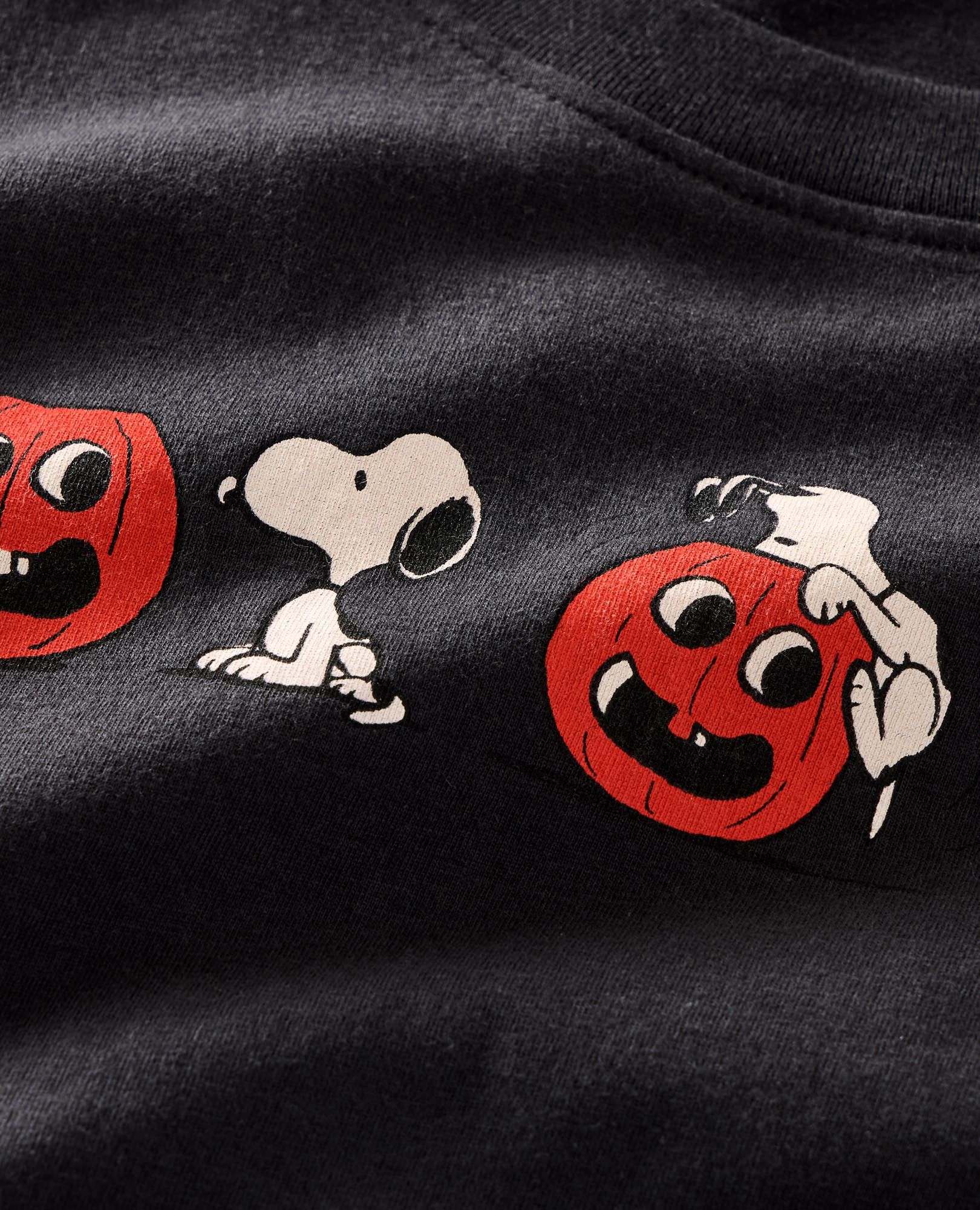 Adult Peanuts Halloween Graphic T-Shirt in Snoopy Pumpkin Graphic on Black - main