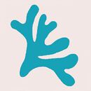 Wrap Skort in Coral on Rose Veil - swatch