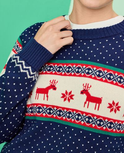 Adult Holiday Sweater in Dear Deer on Navy - main