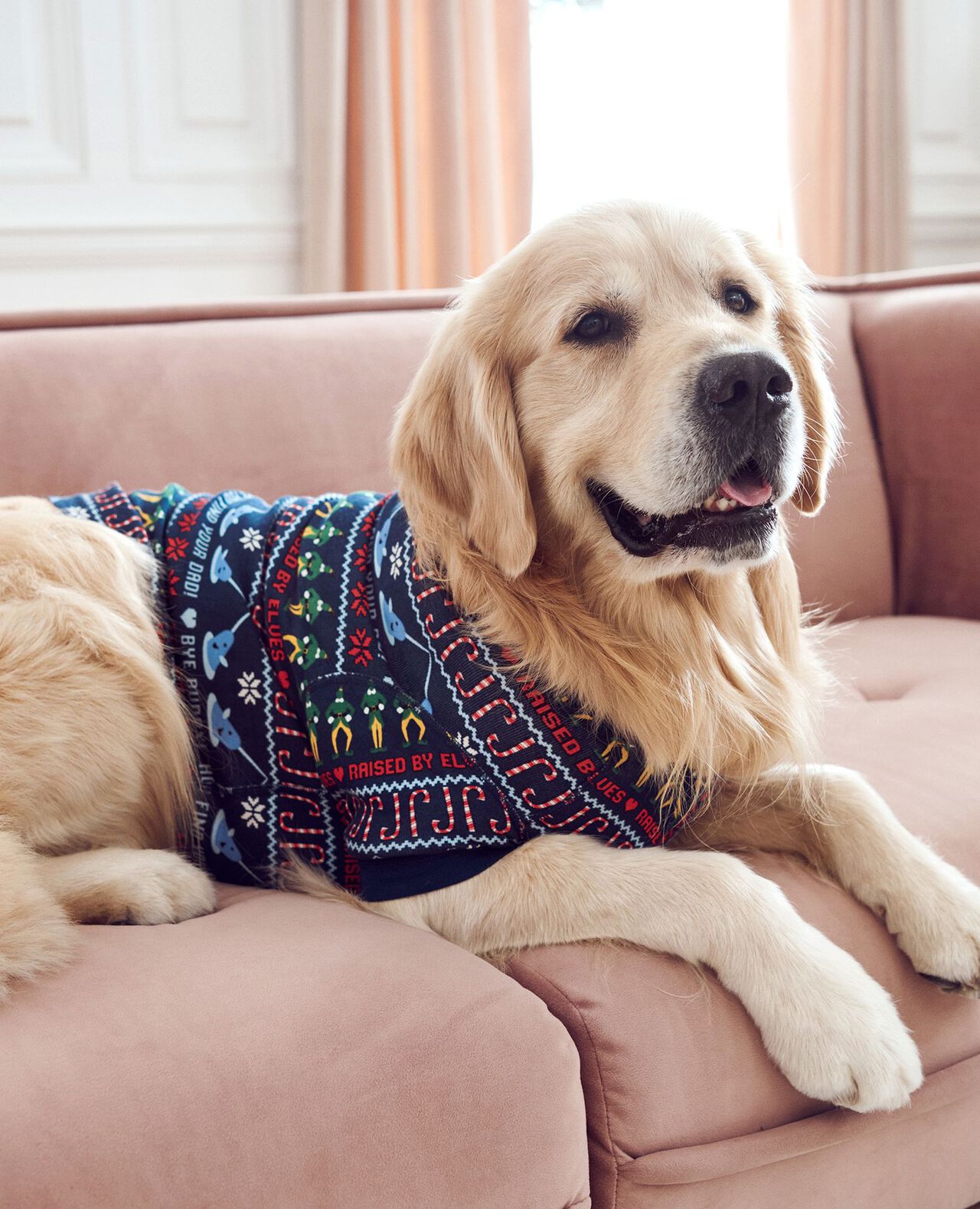 Warner Bros™ Discovery Elf Dog Pajamas Hanna Andersson