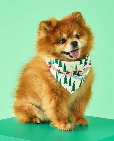 Holiday Flannel Dog Bandana in Ski Ya Later - main