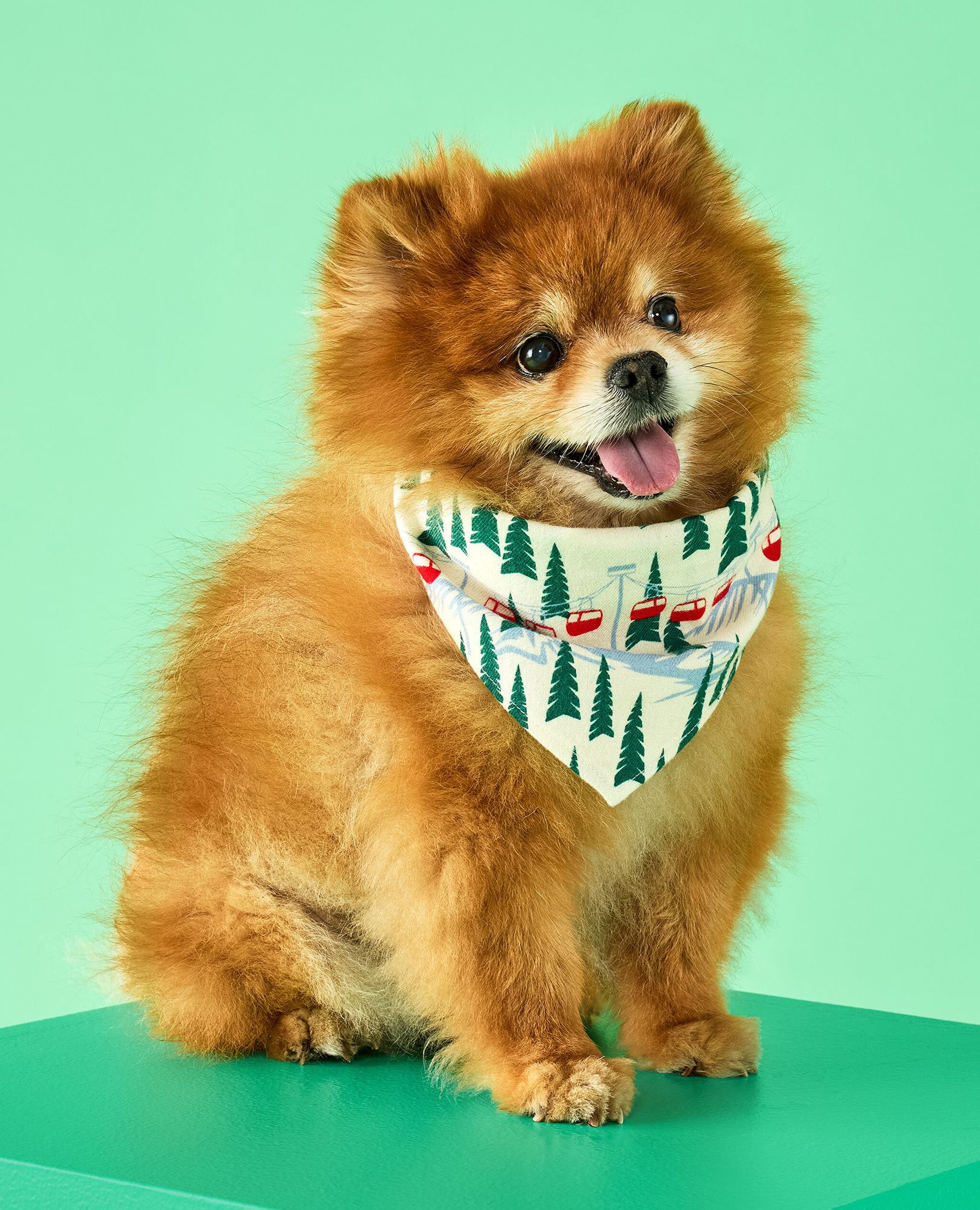 Product image for 82206-7DA