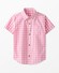 Fuchsia Pink Gingham