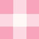 Sleeveless Seersucker Top & Wide Leg Pants Set in Pink Gingham - swatch