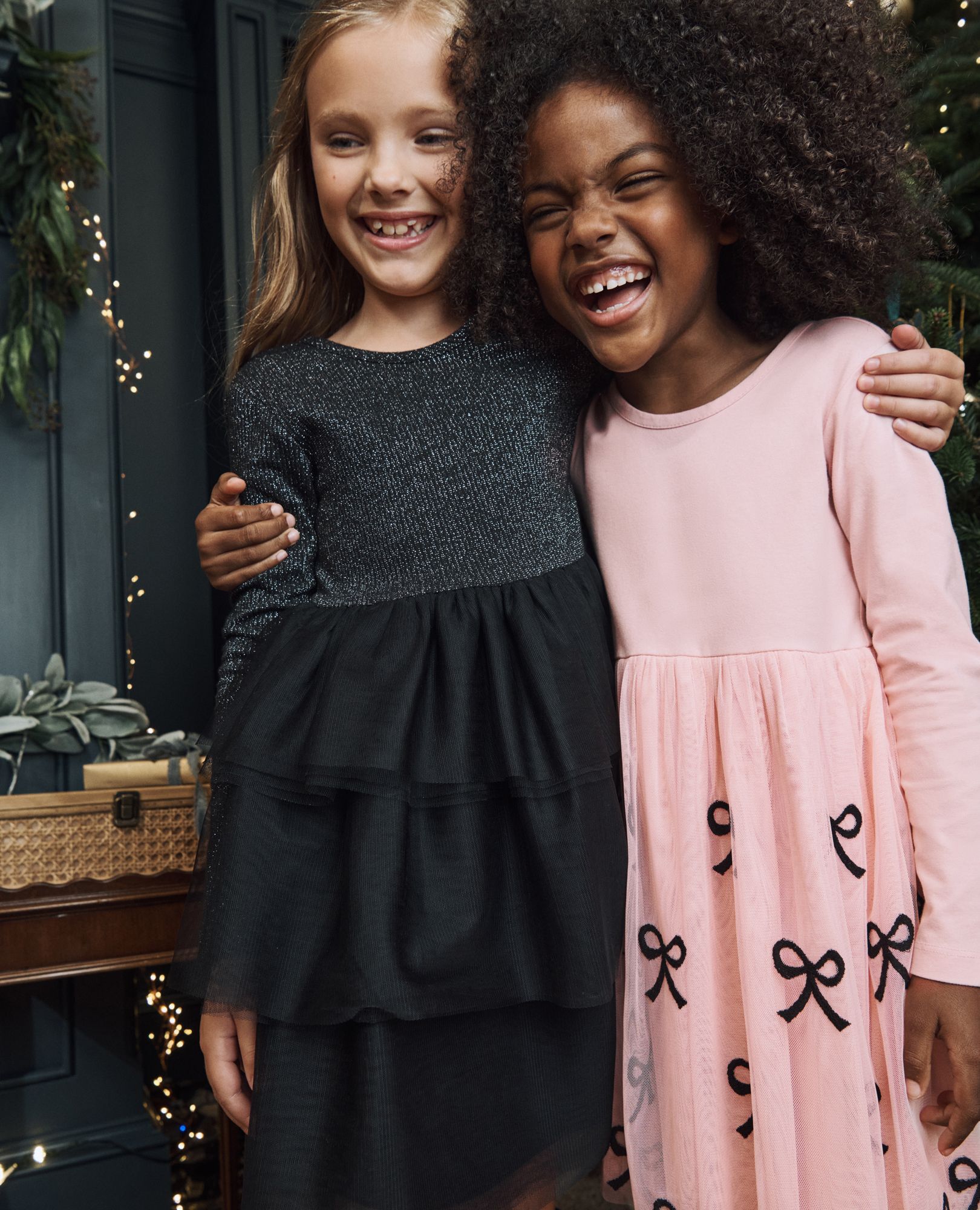 Long Sleeve Tulle Embroidered Skater Dress Hanna Andersson