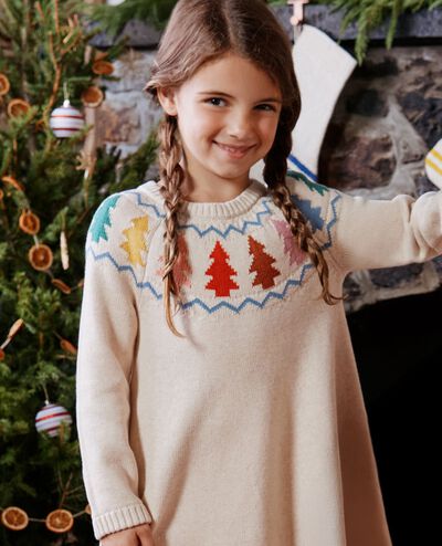 Holiday Sweater Dress in Festive Forest on Oat Heather - main