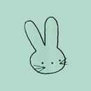 Women's Easter Long Sleeve HannaSoft™ Pajama Set in Easter Bunny on Jade - swatch