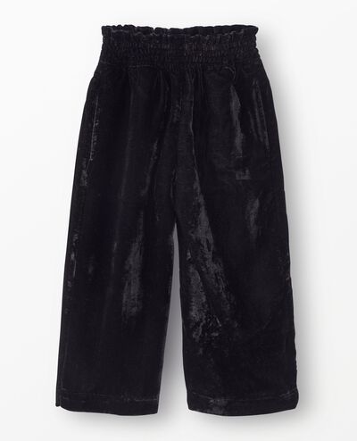 Velvet Wide Leg Pants in Black - main