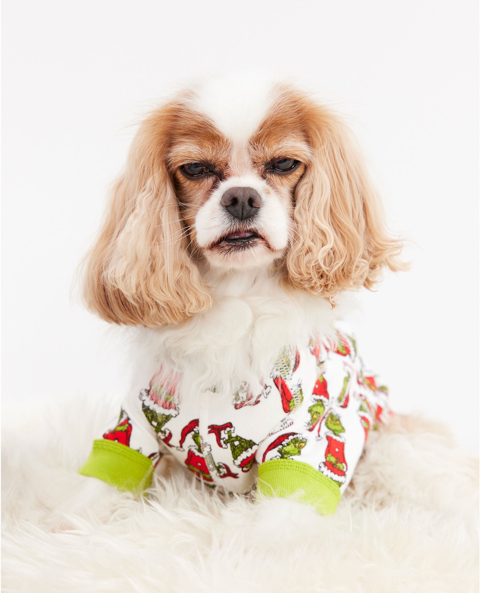 Grinch Mix It Up Dr. Seuss Dog Pajamas in 100 Cotton Size Pet XL by Hanna Andersson