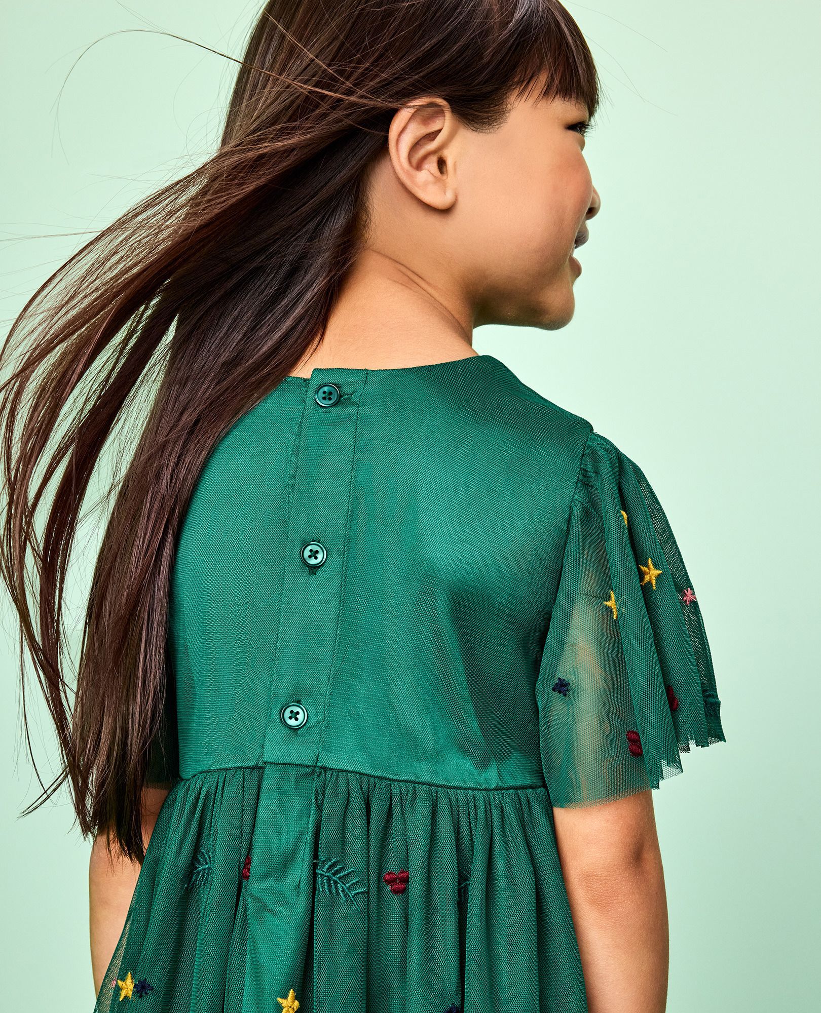 Holiday Tulle Embroidered Dress in Holiday Floral Embroidery - main