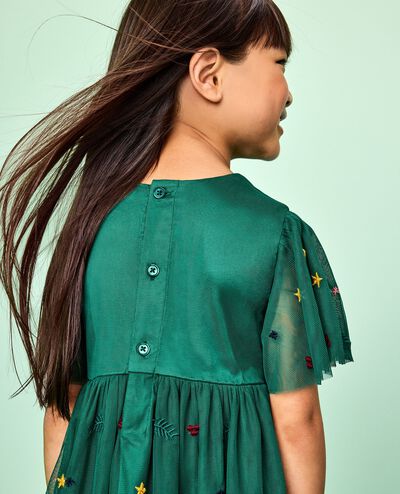 Holiday Tulle Embroidered Dress in Holiday Floral Embroidery - main
