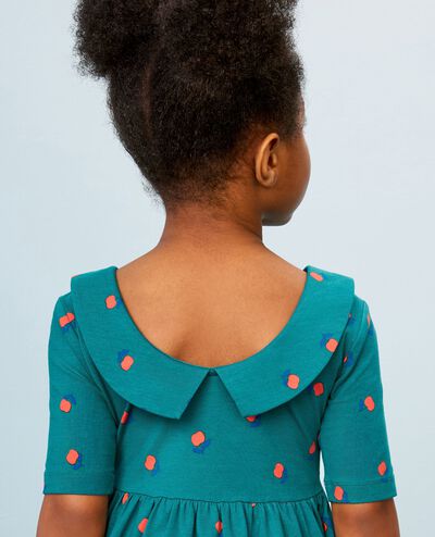 Collared Skater Dress with Pockets in Apples on Everglade - main