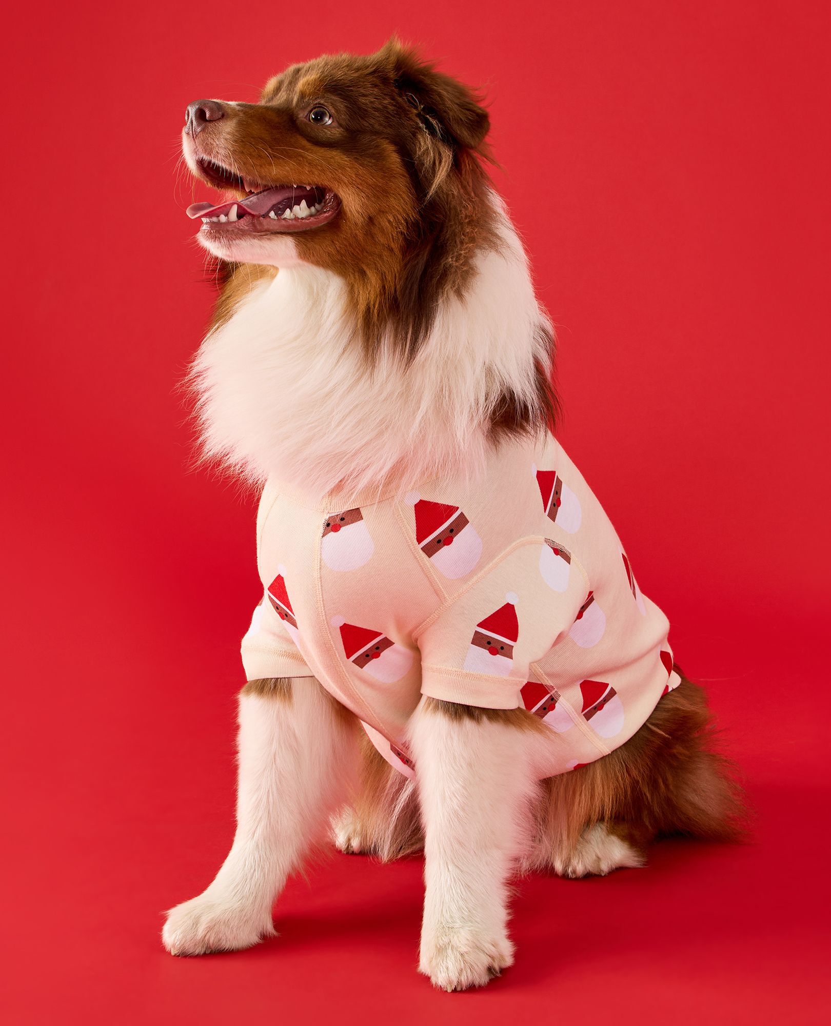 Holiday Dog Pajamas in Scandi Santa on Almond Oil - main