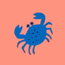 Swim Trunks in Little Crabby Pants on Sunset Reef - swatch