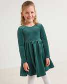 Velour Skater Dress in Juniper - main
